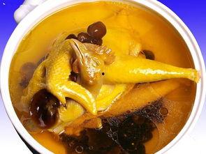 娱乐吃瓜酱鸡汤视频播放,揭秘热门视频背后的暖心鸡汤