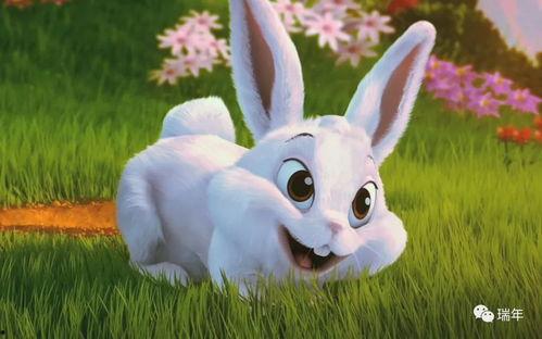 娱乐吃瓜小兔子视频下载,揭秘娱乐圈幕后故事