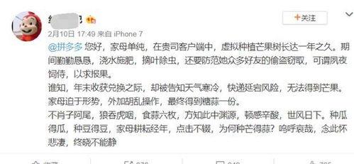 写吃瓜娱乐文怎么取笔名,揭秘娱乐圈幕后，笔名背后的故事