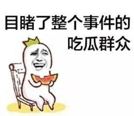 娱乐吃瓜菌感动,见证娱乐圈感动瞬间