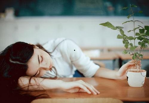 爱如火娱乐吃瓜酱,揭秘娱乐圈幕后风云