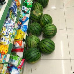 专业娱乐吃瓜,揭秘明星幕后那些事儿